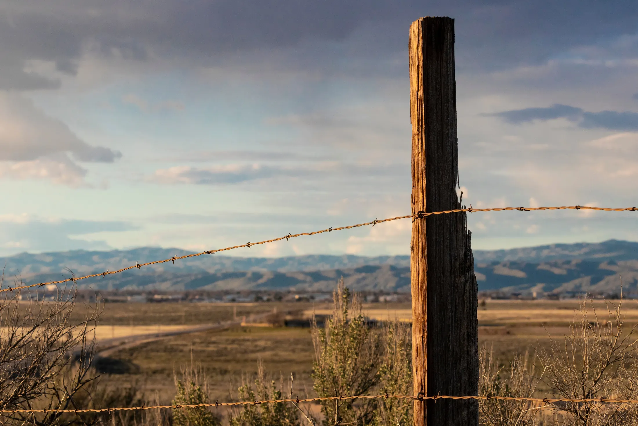 A barbed-wire ranch fence line stretching across open desert acreage near Golden Valley, Arizona