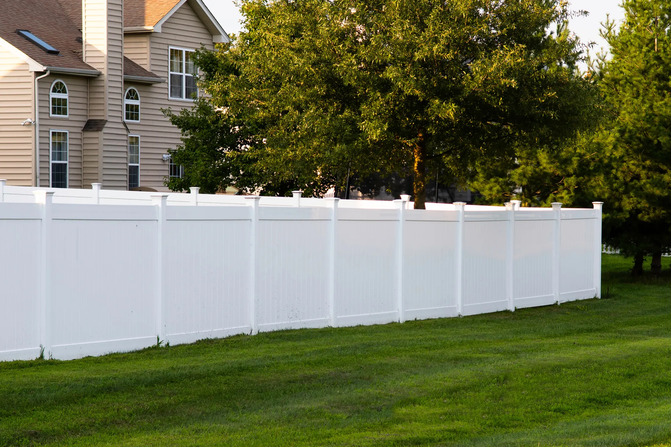 A white vinyl privacy fence panel section in a residential desert-adjacent yard