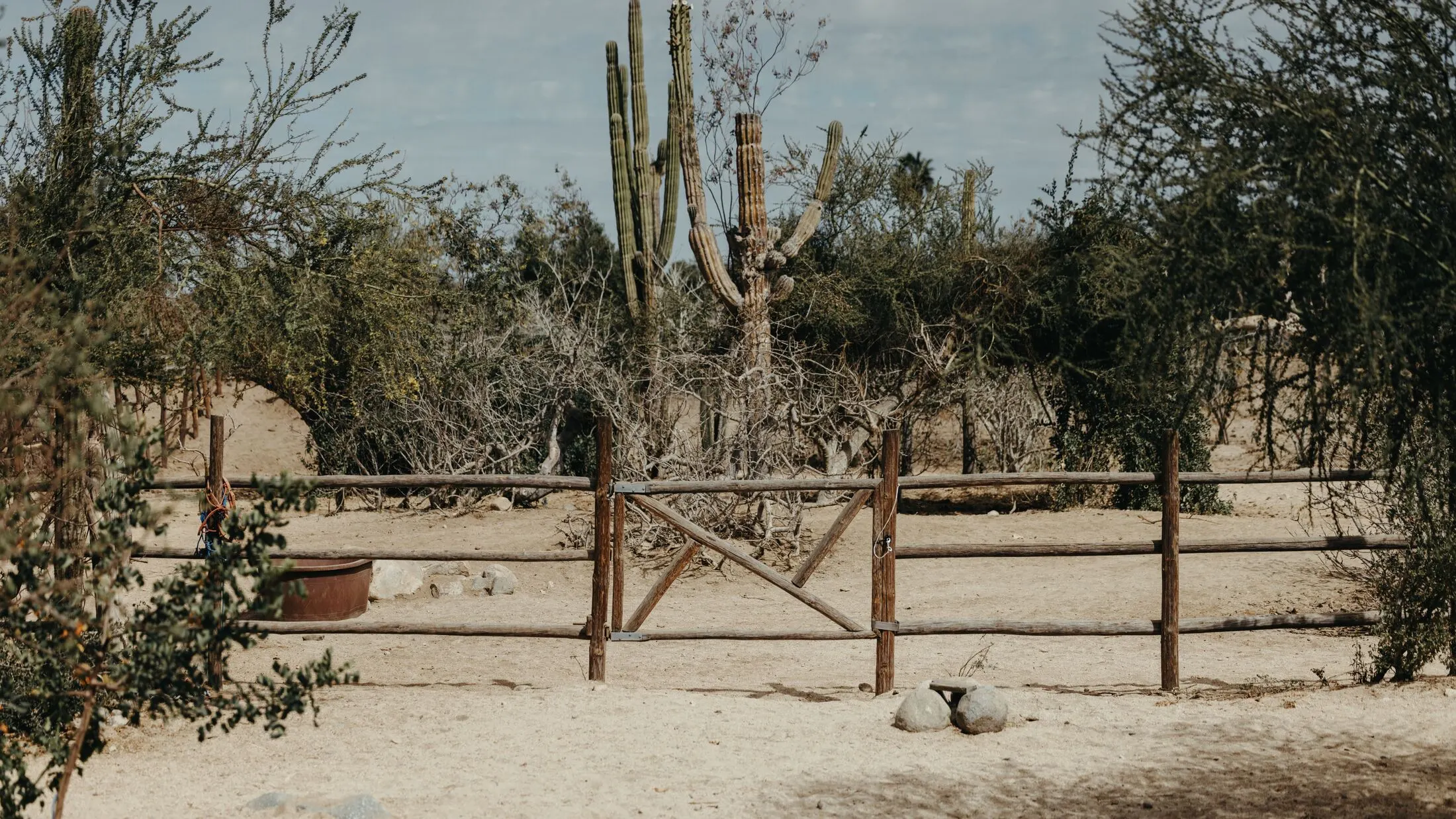 A wood rail fence and gate against a high-desert backdrop